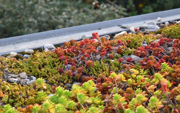 the cost of Llanbabo green roof installation